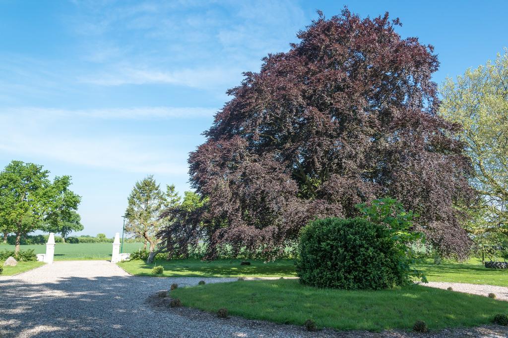 Ferienhof Kolauerhof - Bauernhofurlaub In Groemitz Exterior photo